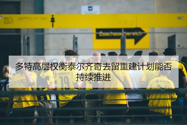 多特高层权衡泰尔齐奇去留重建计划能否持续推进